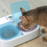 Petoneer Two Meals Wet & Dry Pet Feeder With Ice Packs | Higooga